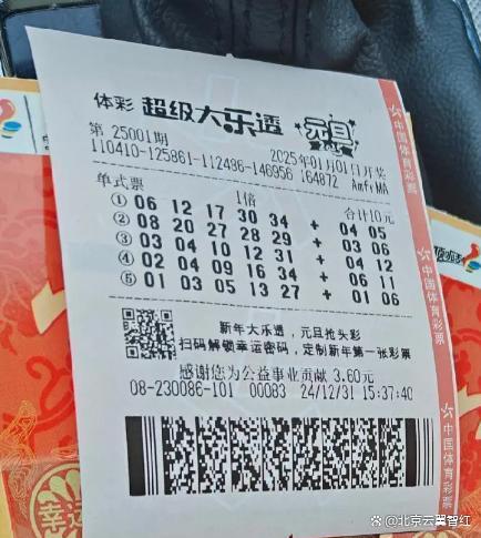 2025年一肖一碼一中,探索未來彩票奧秘，2025年一肖一碼一中