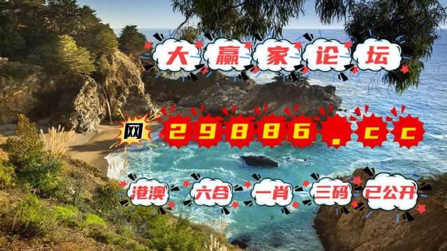 澳大王中王免費正版資料,澳大王中王免費正版資料，探索與揭秘