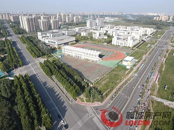 一碼一肖一特一中2025,一碼一肖一特一中與未來的預測，走向2025的洞察