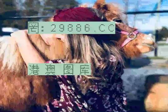 77777788888王中王跑狗軟件介紹,王中王跑狗軟件介紹，探索數(shù)字世界的777777與88888的魅力