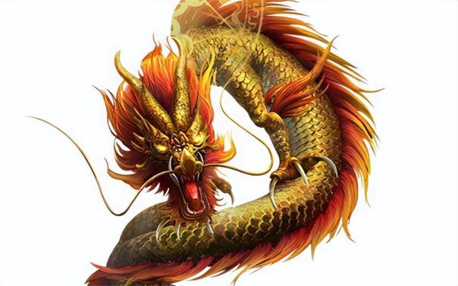 100%最準(zhǔn)的一肖,揭秘100%最準(zhǔn)的一肖，探尋命運與生肖的神秘聯(lián)系
