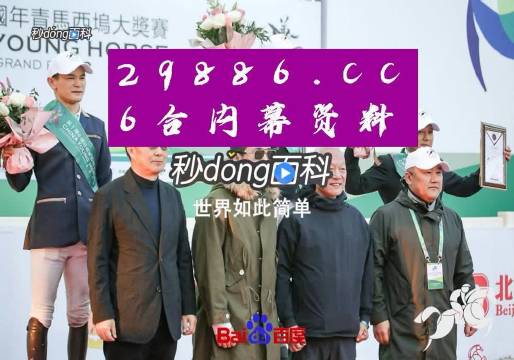 香港王中王資料完整版,香港王中王資料完整版，揭秘傳奇人生