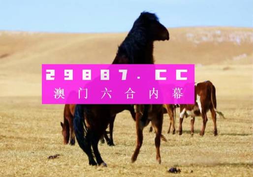 993994www跑狗玄機,揭秘993994WWW跑狗玄機，探尋背后的真相與秘密