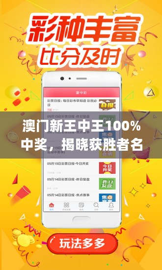 新澳門王中王王中王免費,新澳門王中王王中王免費，探索與解析