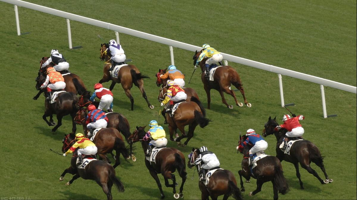 香港今晚開(kāi)什么特馬,香港今晚的馬票結(jié)果預(yù)測(cè)與賽馬文化深度解析