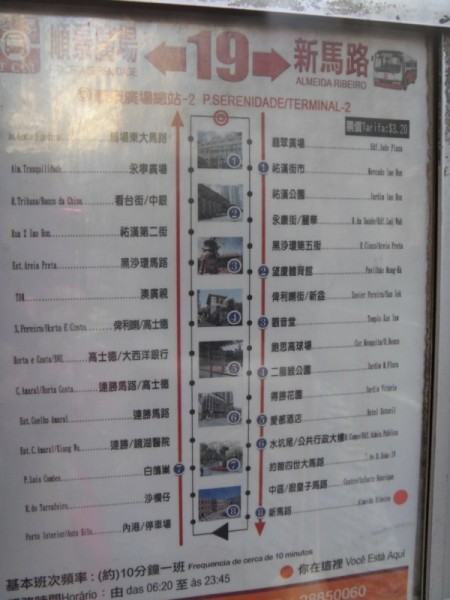 新澳門今晚必開一肖一特,新澳門今晚必開一肖一特——探索生肖彩票的魅力與預(yù)測之道