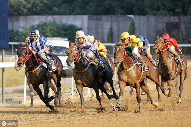 澳門今晚上開的什么特馬,澳門今晚的馬術(shù)賽事，速度與激情的盛宴