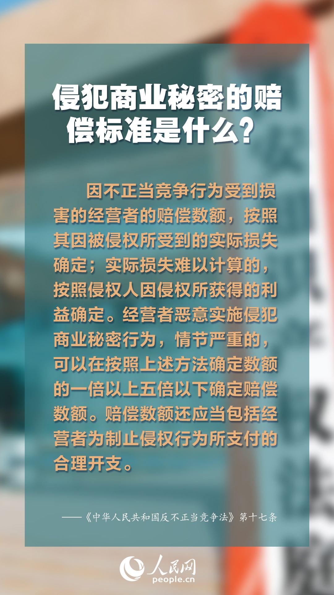 2025年正版免費(fèi)資料大全最新版本,探索未來知識(shí)寶庫(kù)，2025正版免費(fèi)資料大全最新版本概覽
