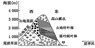 大地資源第二頁(yè)第三頁(yè)區(qū)別,大地資源的第二頁(yè)與第三頁(yè)，區(qū)別與洞察