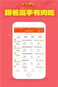 二四六天天好944cc246天彩的,二四六天天好，944cc與彩的246天之旅