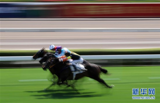 香港馬資料更新最快的,香港馬資料更新最快的地方，探索賽馬運(yùn)動的最新動態(tài)與資源
