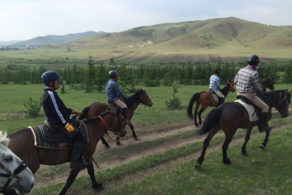 今晚澳門馬出什么特馬,今晚澳門馬會出什么樣的特馬？探索馬會神秘面紗下的秘密