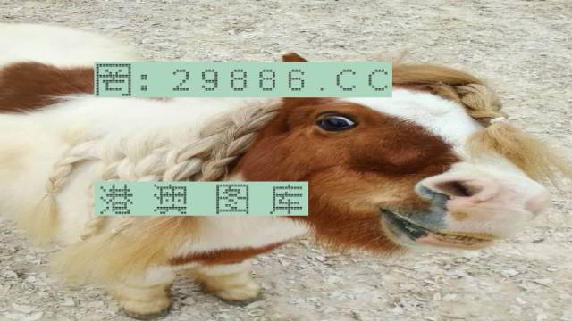 澳門內(nèi)部精準免費資料網(wǎng)址,澳門內(nèi)部精準免費資料網(wǎng)址，探索與解析